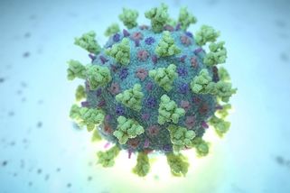 FLiRT straší vědce. Nová mutace koronaviru je odolnější vůči současným vakcínám - Novinky